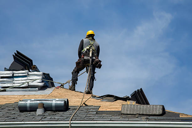 Professional Storm Damage Roof Repair technician working in Macon, MS